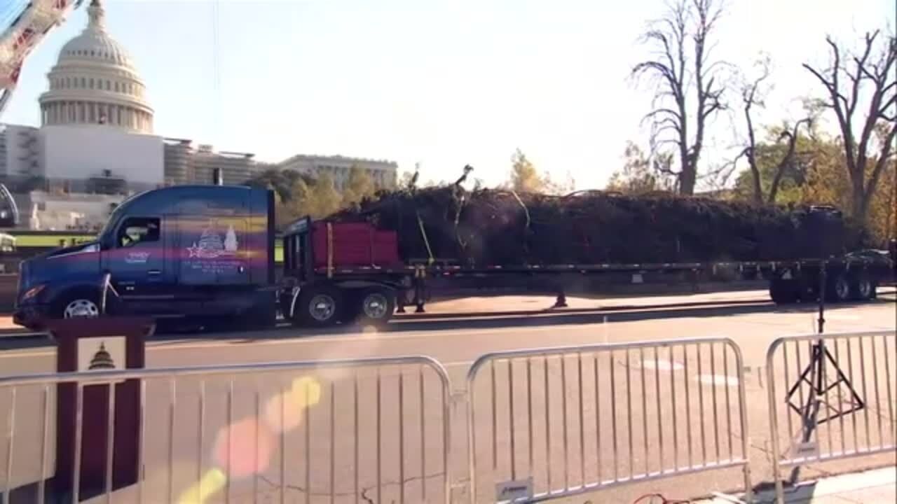 Capitol Christmas tree arrives from North Carolina